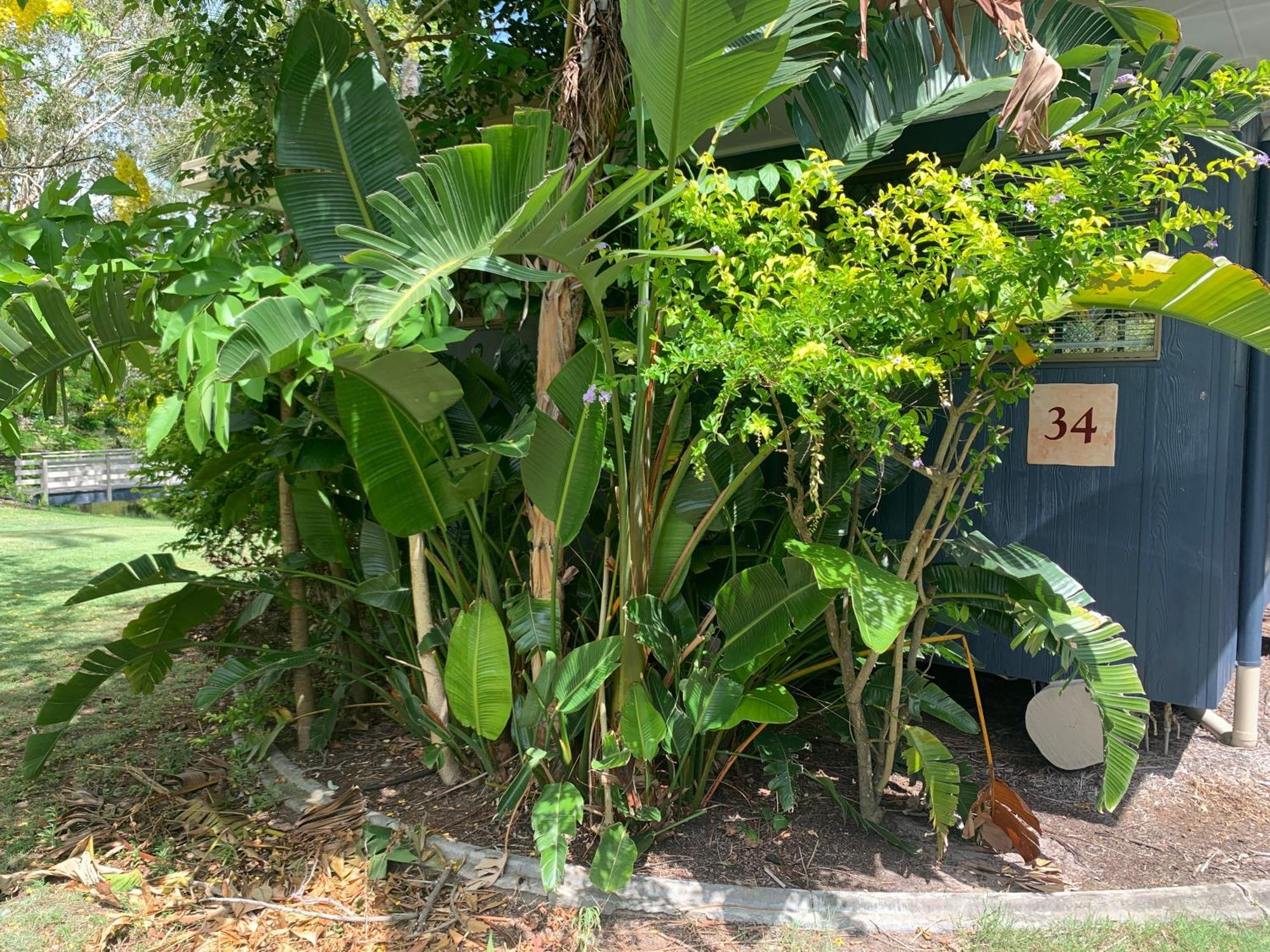 Lakefront Turtle Retreat - Hervey Bay - Free Parking - Self Check In * Urangan